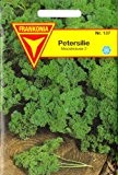 Petersilie, Mooskrause 2, Samen für ca. 5 lfm