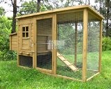 Pets Imperial® Devonshire Large Chicken Coop Hen House Ark Poultry Run Nest Rabbit Hutch Box Suitable For Up To 4 ...