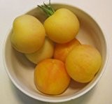 Pfirsich Tomate -Garden Peach- 10 Samen *Rarität*
