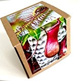 Pflanz-Set für Fleischfressende Pflanzen (Karnivoren) Venusfliegenfalle, Schlauchpflanze,Sonnentau Kannenpflanze - 12 Sorten in einer Box - Geschenkset Box
