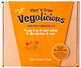Pflanze-n-Grow Vegalicious Eat Your Greens Mix Gemüse anzubauen Kit