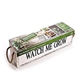 Pflanzenset "Watch me Grow - Kräuter" für Petersilie & Basilikum, Samen und Saat, Erde und Samen - Geschenkidee - Urban ...