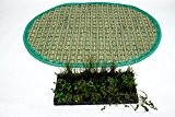 Pflanzinsel inkl. 36 winterharten Teich-Pflanzen, oval, 120 x 160 cm - schwimmende Teichinsel mit Teichbepflanzung - Algen reduzieren in Koi-Teich ...