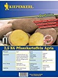 Pflanzkartoffeln Agria 2,5kg