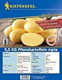 Pflanzkartoffeln 'Agria' - Pack./2,5 kg