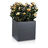 Pflanzkübel CUBO Fiberglas Pflanztopf - Farbe: grau matt - robuster, UV-beständiger, wetterfester & frostsicherer Blumentopf für den Garten Blumenkübel