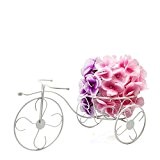 Pflanztopf Blumenständer Fahrrad Deko-Fahrrad mit Pflanzgefäß Metall (1)