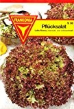 Pflücksalat, Lollo Rossa, Salat, ca. 1800 Samen