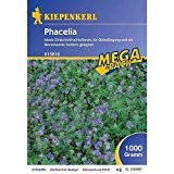 Phacelia -1 kg Gründünger Mega-Pack