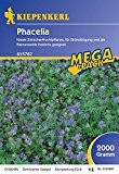 Phacelia, 2 kg, Phacelia tanacetifolia - 1 Foliensack/ 2 kg