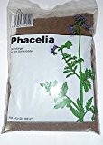 Phacelia Gründünger für alle Gartenböden 500g