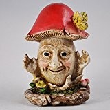 Pilz Menschen Tim Figur Kleiner Spaß Garten-Decor Ornament im Proof 10 cm)