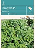 Pimpernelle Mehrjährig von Flora Elite