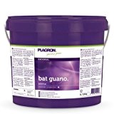 Plagron Bat Guano, NPK 6-15-3, mit besonders hohem Phosphatanteil, 5 L
