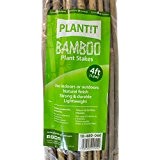 PLANT IT 10-480-060 4 ft Bamboo Stakes - Beige (Pack of 25)