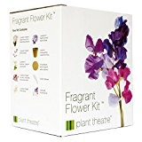 Plant Theatre Kit Fragrant Flowers - 6 wunderbare duftende Sorten zum Anbauen - ein großartiges Geschenk