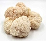 Pom Pom Ernteballen- Pilze selber züchten, Pilzzucht 100% BIO