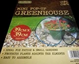 POP-UP-MINI-Gewächshaus, IDEAL für Terrasse und Garten, klein, mit Motiv "Vermehrungsgut für Samen und kleinen Pflanzen