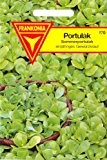 Portulak, Portulaca oleracea, ca. 100 Samen