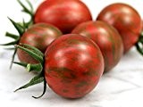 Premier Seeds Direct Tomaten "Artisan Lila Bumble Bee" beinhaltet 10 Samen