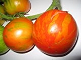 Premier Seeds Direct Tomaten "Tigerella" beinhaltet 200 Samen