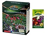 Premium Blumenwiese inkl. 1 Pkg. Kamelien-Balsaminen kostenlos - Wildblumenmischung (ohne Gräser)