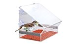 Premium Fenster Vogelfutterspender - Acryl Vogelfutterspender, klarste Sicht - mit Dach, Wasserablauflöchern und strapazierfähigen Saugnäpfen und Trennwand für 2 Arten ...