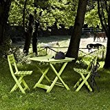 Progarden 987150 Camping-Set limegrün bestehend aus: 2x Stuhl Birki +1 x Tisch Tevere, komplett zusammenklappbar