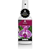 PURITAL Premium Orchideen Spray - Orchideenpflege - gesunde Blätter und üppige Blüten - Profi Nährstoffe und vitalisierende Blatt-Pflege. Orchideen - ...