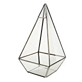Pyramide Mini Glas Terrarium Geometrisches Glas Sukkulente Pflanzen Pflanzgefäß Deko - Silber