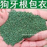 Qualität Evergreen Rasen Bermuda Gras-Samen resistent gegen Trampeln Stadium Villa DIY Hausgarten Pflanze 50g / Packung