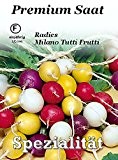 Radies Milano Tutti Frutti Mix 50 Samen