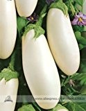 Rare Ghostbusters Aubergine Bio-Saatgut, Profi-Pack 100 Samen / Pack, feste weiße Farbe Gemüsesamen # NF671