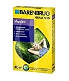 Rasensamen Barenbrug Shadow 1 kg - Great in Grass - Schattenrasen Grassamen
