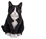 Real Life sitzend Katze schwarz & weiß
