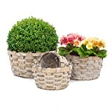 Relaxdays Pflanzkörbe rund flach 4er Set dekorativer Holzkorb zum Bepflanzen Pflanzkorb Set für Haus und Garten, grau-braun