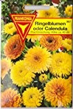 Ringelblume, Calendula, Calendula officinalis, ca. 100 Samen