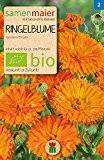 Ringelblume orange | Bio-Ringelblumensamen von Samen Maier