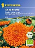 Ringelblume Oranja (Bio-Saatgut) von Kiepenkerl