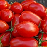 Rio Grande - rote Pflaumen-Tomate - 10 Samen