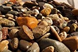 rockinnature 50-100 mm Big Irish Beach Pebbles 20 kg Stein Garten Deko