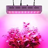 Roleadro LED Pflanzenlampe 300W für Gewächshaus Zimmerpflanzen / Daisy-Chain Verbindung Funktion /Groß Größe Grow Lampe