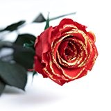 ROSEMARIE SCHULZ® 1 Ewige Rose Goldglimmer, haltbar 3 Jahre konservierte rote Rose Gold die eine Ewigkeit blüht Valentinstag spezial