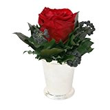 ROSEMARIE SCHULZ® Blumengesteck 3 Jahre haltbar in Silberbecher 1 Rose konserviert Abmessungen: 9x12cm (Rot)