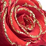 ROSEMARIE SCHULZ® Ewige Rose Rosenstrauß konserviert in Rot mit Goldrand