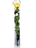 Rosen-te-amo 1 Haltbare stabilisierte Rose in gelb, konservierte Rosen die ihre lebendige Natürlichkeit über eine Ewigkeit behalten.
