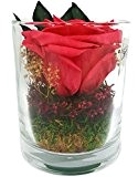Rosen-te-amo Blumen-Arrangement 3 JAHRE OHNE WASSER haltbar - Konservierte Blumen-Strauß in der Vase aus Haltbare Rose zum Valentinstag