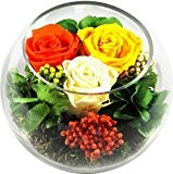 Rosen-te-amo Blumen-gesteck aus drei Konservierte Blumen enthält drei ECHTE PREMIUM Haltbare Rosen in der Farben orange, gelb und champagne - ...