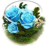 Rosen-te-amo Blumen-Gesteck aus ECHTE Konservierte Rosen, Blumen-Strauß in der Vase, aus 3 haltbare-Rosen - unser EXKLUSIVES Blumen-Arrangement sind lange haltbar, ...