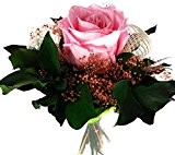 Rosen-te-amo Blumen-Strauß aus ECHTE haltbare Rose und Bindagrün, Rosenstrauß aus 1 Konservier-Rose - Exklusives Rosenarrangement (1 Rose, Rosa)